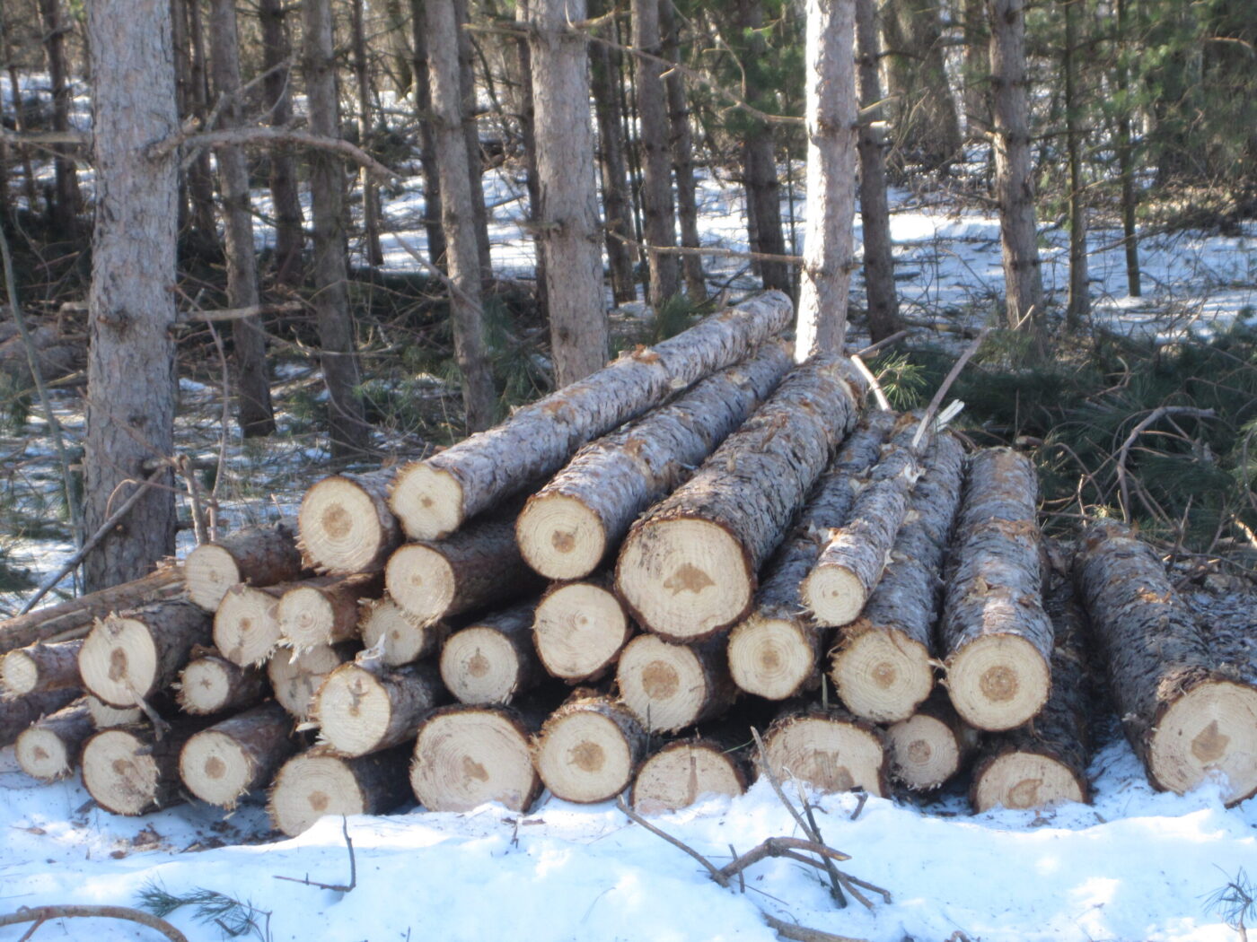 Wisconsin Woodland Owners Association