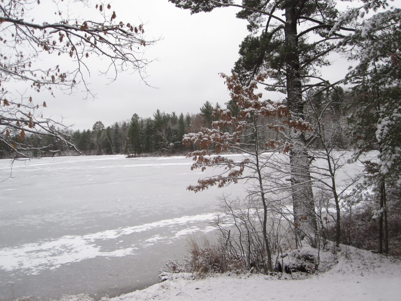 Wisconsin Woodland Owners Association